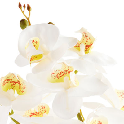 Linden Street 19in Orchid Artificial Plant