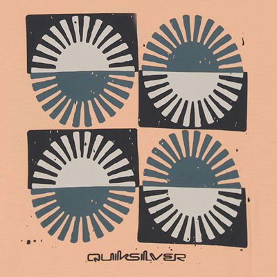 Quiksilver Big Kid Boys Crew Neck Short Sleeve Regular Fit Graphic T-Shirt