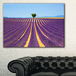 Designart Lonely Uphill Tree In Lavender Field Canvas Art