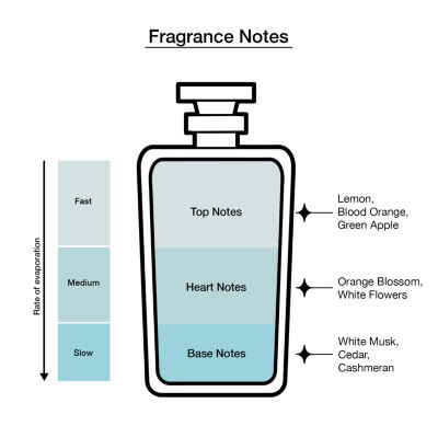 DOLCE&GABBANA Light Blue Forever Pour Femme Eau De Parfum