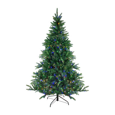 Northlight Medium Instant-Connect Noble Artificial Dual Led Lights 6 1/2 Foot Pre-Lit Fir Christmas Tree