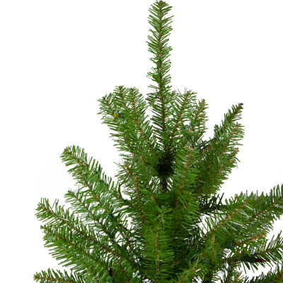 Northlight Northern Full Artificial Unlit 12 Foot Pine Christmas Tree