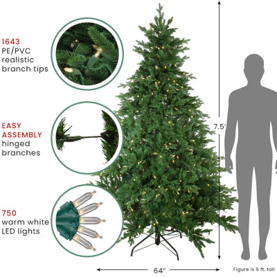 Northlight Medium Minnesota Balsam Artificial Warm Clear Led Lights 7 1/2 Foot Pre-Lit Fir Christmas Tree