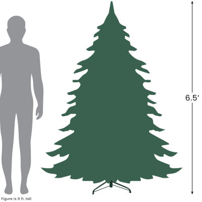 Northlight Medium Frosted Sierra Artificial Clear Lights 6 1/2 Foot Pre-Lit Fir Christmas Tree