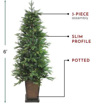 Northlight Potted Oregon Noble Slim Artificial Warm White Led Lights 6 Foot Pre-Lit Fir Christmas Tree