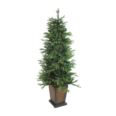 Northlight Potted Oregon Noble Slim Artificial Warm White Led Lights 6 Foot Pre-Lit Fir Christmas Tree
