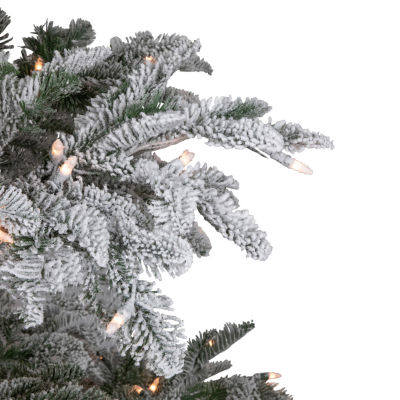 Northlight Full Whistler Noble Artificial Clear Lights 6 1/2 Foot Flocked Fir Christmas Tree