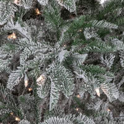 Northlight Full Whistler Noble Artificial Clear Lights 6 1/2 Foot Flocked Fir Christmas Tree