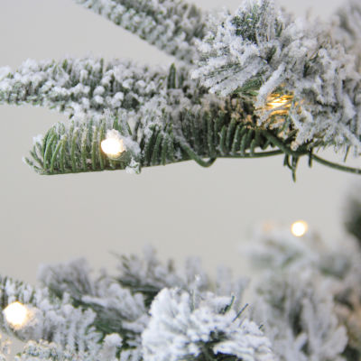 Northlight Slim Nordmann Artificial Warm Clear Led Lights 6 1/2 Foot Pre-Lit Fir Christmas Tree