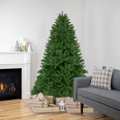 Northlight Full Sierra Noble Artificial Unlit / Foot Fir Christmas Tree