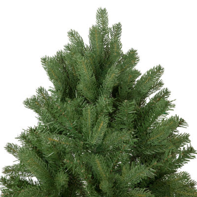 Northlight Full Sierra Noble Artificial Unlit / Foot Fir Christmas Tree