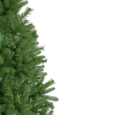 Northlight Full Sierra Noble Artificial Unlit / Foot Fir Christmas Tree