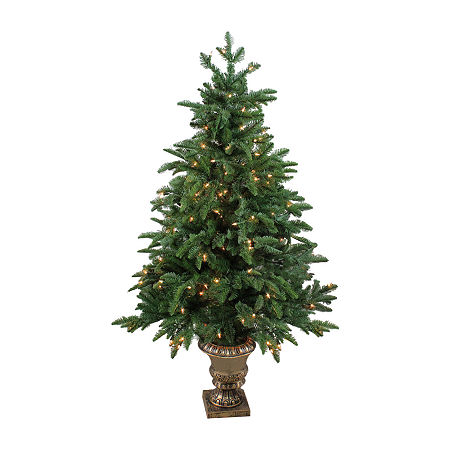 Northlight Potted Sierra Norway Spruce Slim Artificial Clear Lights 4 1/2 Foot Pre-Lit Christmas Tree, One Size, Green