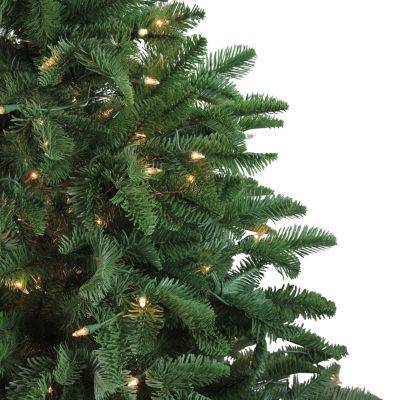 Northlight Potted Sierra Norway Spruce Slim Artificial Clear Lights 4 1/2 Foot Pre-Lit Christmas Tree