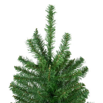Northlight Winona Artificial  Unlit 6 1/2 Foot Fir Christmas Tree