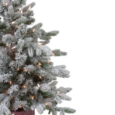 Northlight Saratoga Spruce Artificial In Pot Clear Lights 4 Foot Pre-Lit Christmas Tree