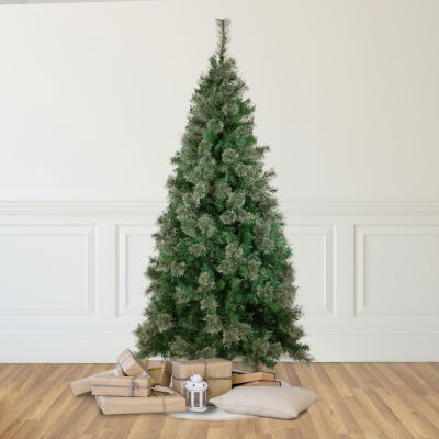 Northlight Medium Oregon Cashmere Artificial  Unlit 6 1/2 Foot Pine Christmas Tree