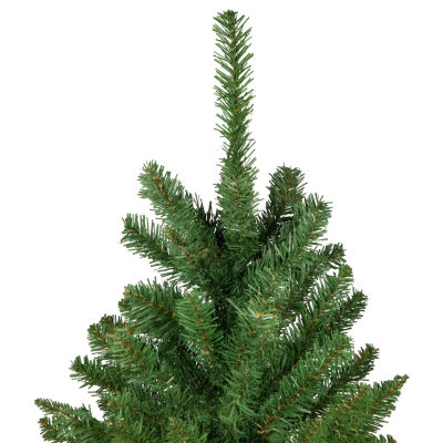 Northlight Unlit Pencil White River Artificial 7 1/2 Foot Fir Christmas Tree