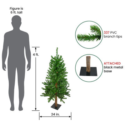 Northlight Alartificial Unlit 4 Foot Pine Christmas Tree