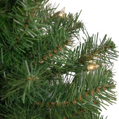 Northlight Oakridge Noble Artificial Clear Lights Foot Pre-Lit Fir Christmas Tree