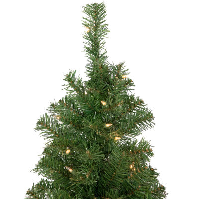 Northlight Oakridge Noble Artificial Clear Lights Foot Pre-Lit Fir Christmas Tree