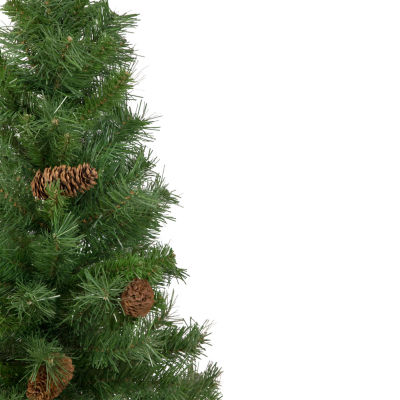 Northlight Medium Black River Artificial Unlit 3 Foot Pine Christmas Tree