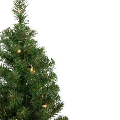 Northlight Oakridge Noble Artificial Clear Lights 2 Foot Pre-Lit Fir Christmas Tree