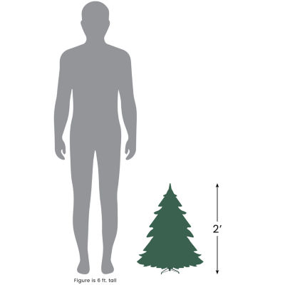 Northlight Slim Blackwater Artificial Clear Lights 2 Foot Pre-Lit Fir Christmas Tree