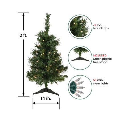 Northlight Medium Aspen Artificial Clear Lights 2 Foot Pre-Lit Pine Christmas Tree