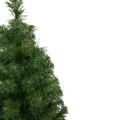 Northlight Oakridge Noble Artificial Unlit 2 Foot Fir Christmas Tree