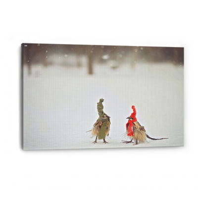 Lumaprints Weathered Feathered Friends Canvas Art