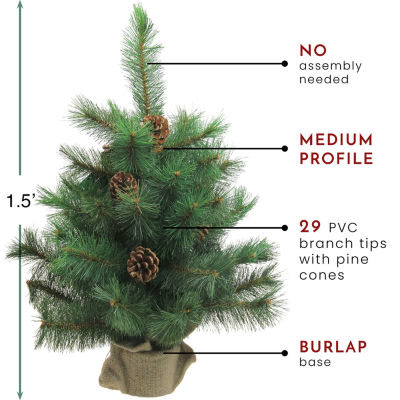 Northlight Medium Royal Oregon Burlap Base Artificial Unlit 1 1/2 Feet Pine Christmas Tree