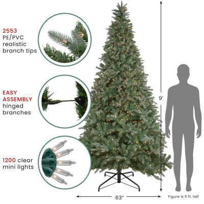 Northlight Granville Fraser Artificial  Clear Lights 9 Foot Pre-Lit Fir Christmas Tree