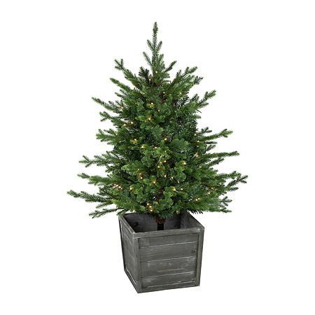 Northlight Potted Deluxe Russian Artificial Warm White Led Lights 4 Foot Pre-Lit Pine Christmas Tree, One Size, Green