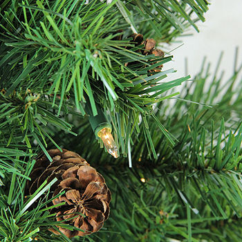 Northlight 3' x 22 Pre-Lit Dakota Red Pine Full Artificial Christmas Tree - Clear Lights