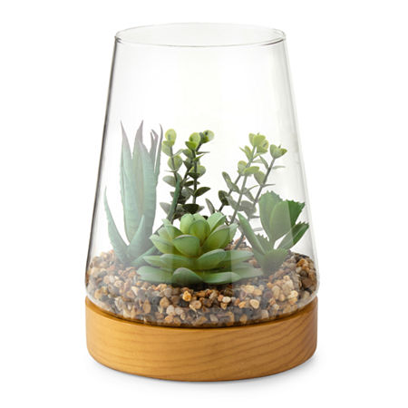 Linden Street 7in Mixed Succulent Terrarium Artificial Plant, One Size, Green