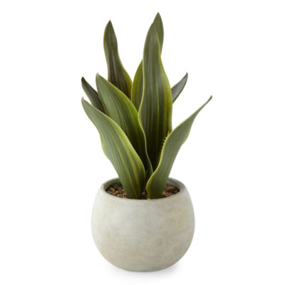 Linden Street 12in Snake Artificial Plant