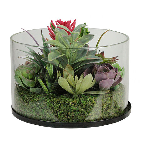 8'' Artificial Mixed Succulent Arrangement In Round Glass Jar, One Size, Multiple Colors