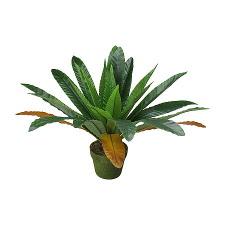 22'' Potted Artificial Green And Brown Bird Nest Fern Plant, One Size, Green