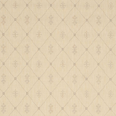 Safavieh Oakley Oriental Indoor Outdoor Rectangular Accent Rug