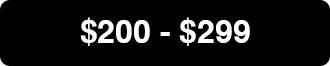 $200 - $299
