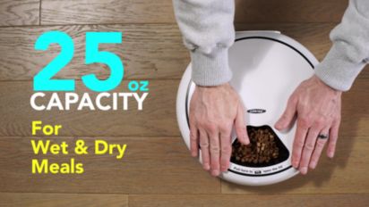 https://jcpenney.scene7.com/is/image/jcpenneyimages/7805159-Lentek-Pet%20Dish-1-AVS?fit=constrain,1&wid=412&hei=232