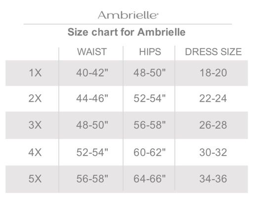 Ambrielle Plus Waist Line Control Briefs - JCPenney