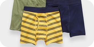boxer