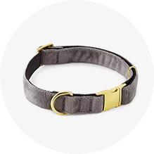 Collars. &. Leashes