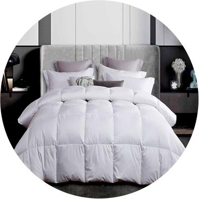 Jcpenney feather best sale down comforters