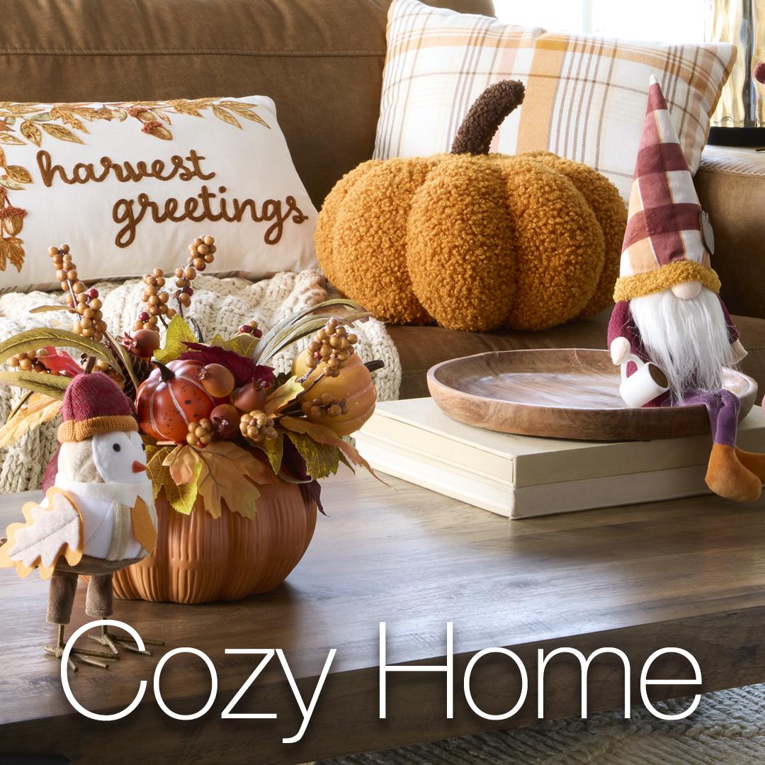 cozy home mini edit