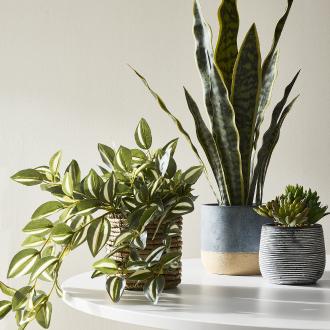 Decor