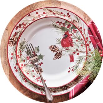 Jcpenney hotsell christmas dishes