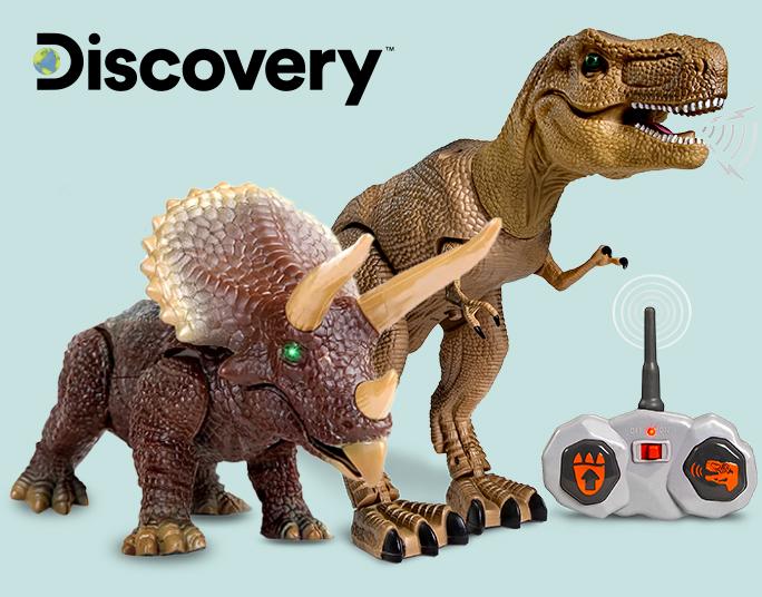 Discovery